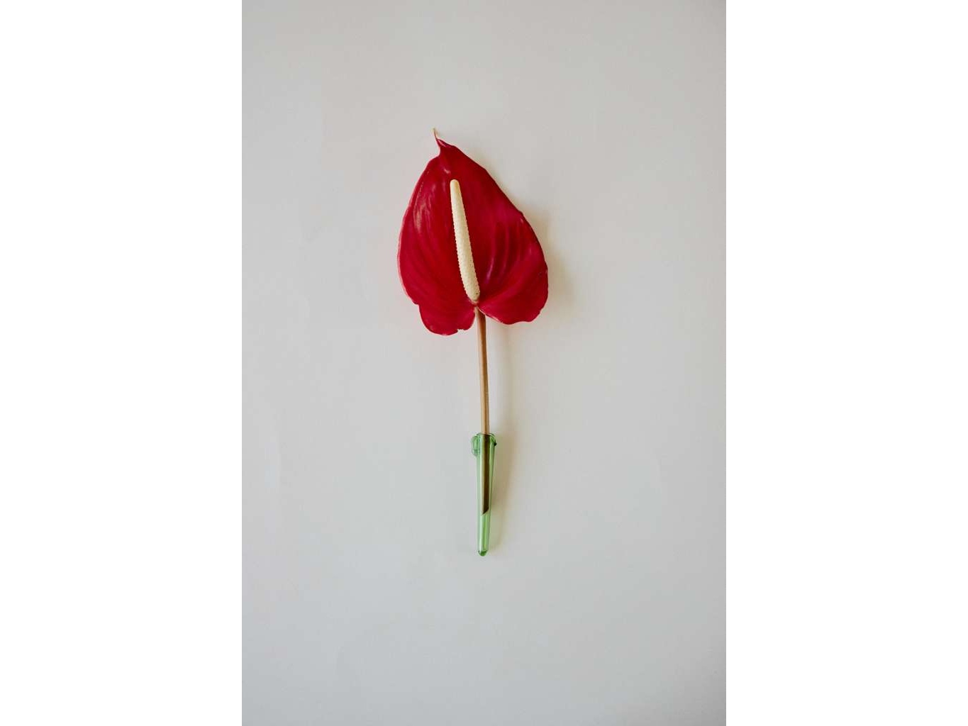 florero maria dc.jpg